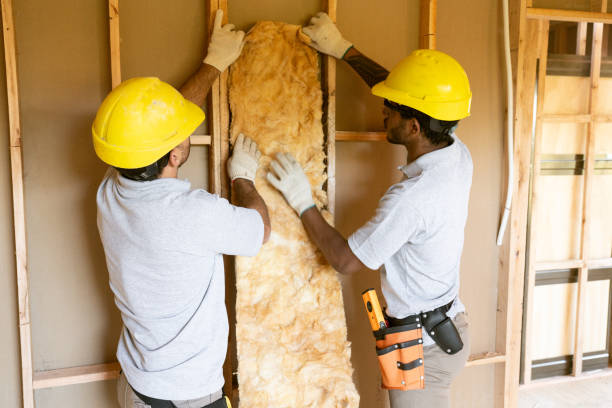 Insulation Inspection Services